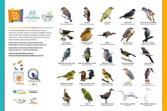 Guia de aves Balneário Piçarras 1.jpg